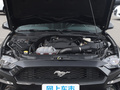 Mustang 图片