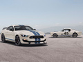 Mustang Shelby GT350 Heritage Edition2020款