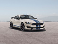 Mustang Shelby GT350 Heritage Edition2020款