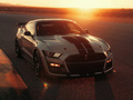 Mustang 图片
