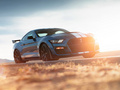 Mustang Shelby GT5002020款