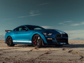 Mustang Shelby GT5002020款