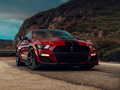 Mustang Shelby GT5002020款