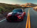 Mustang Shelby GT5002020款
