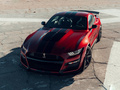 Mustang Shelby GT5002020款