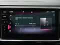 探岳X 图片