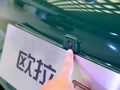 欧拉好猫 图片