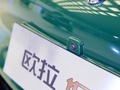 欧拉好猫 图片