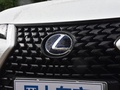 雷克薩斯UX新能源 300e純?享版2020款
