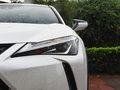 雷克薩斯UX新能源 300e純?享版2020款