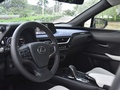 雷克薩斯UX新能源 300e純?享版2020款