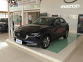 马自达CX-30 2.0L自动嘉悦型2020款