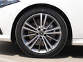 奔驰CLS CLS2602020款