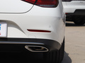 奔驰CLS CLS2602020款