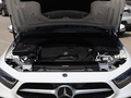 奔驰CLS CLS2602020款