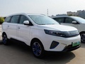 遠(yuǎn)志M1 圖片