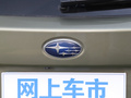 傲虎 图片
