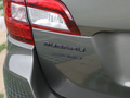 傲虎 图片