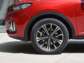 魏牌 VV6 2.0T兩驅智行+2021款