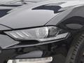 Mustang 圖片