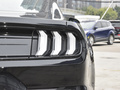 Mustang 圖片