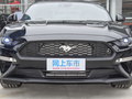 Mustang 图片