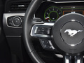 Mustang 圖片