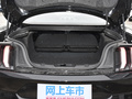 Mustang 图片