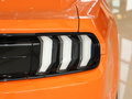 Mustang 圖片