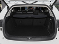 魏牌 VV6 2.0T兩驅(qū)智享+2021款
