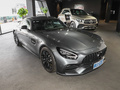 奔驰AMG GT AMG GT暗夜特别版2021款