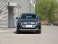 奥迪e-tron(进口) Sportback 55 quattro豪华型2021款
