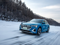 奥迪e-tron 50 quattro豪华型2021款