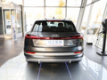 奥迪e-tron 50 quattro豪华型2021款