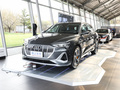 奥迪e-tron 50 quattro豪华型2021款