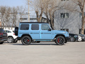 奔驰G级AMG AMG G 63暗影之翼特别版2020款