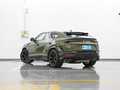 Urus 4.0T V8Performante2022款