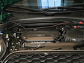 MINI COUNTRYMAN 2.0T COOPER SALL42021款