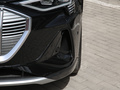 奥迪e-tron(进口) Sportback 55 quattro臻选型2021款
