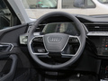 奥迪e-tron(进口) Sportback 55 quattro臻选型2021款