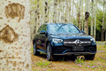 奔馳GLC GLC 300 L 4MATIC豪華型2021款