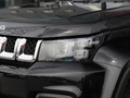 北京F40 2.0T 自動魔方版2020款