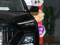 思皓X8 1.5TGDI DCT尊貴智聯版6座2021款