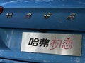 哈弗初戀 圖片