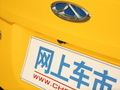 小蚂蚁 图片
