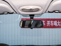 小蚂蚁 图片