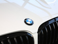 宝马X4 xDrive 25iM运动曜夜套装2021款