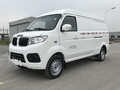 DST神州5號 純電動廂式運輸車2019款