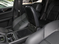 Cayenne新能源 Cayenne E-Hybrid2.0T2021款