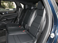 Cayenne新能源 Cayenne E-Hybrid2.0T2021款